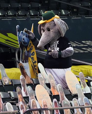MLB Mascots Salaries Will Make Any Fan Want to Quit Their Day Job - FanBuzz