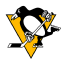 Pittsburgh Penguins