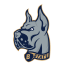 Bluefield State Big Blue
