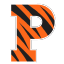 Princeton Tigers