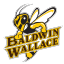 Baldwin Wallace Yellow Jackets