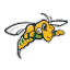 Black Hills State Yellow Jackets