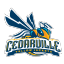 Cedarville Yellow Jackets