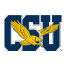 Coppin State Eagles