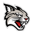 Davidson Wildcats