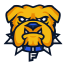 Fisk Bulldogs