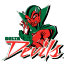 Mississippi Valley State Devilettes