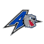 UNC Asheville Bulldogs