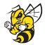 Randolph-Macon Yellow Jackets