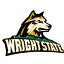 Wright State Raiders