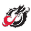 Minnesota State Moorhead Dragons