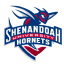 Shenandoah Hornets