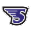 Stonehill Skyhawks