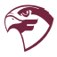 Fairmont State Falcons