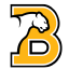 Birmingham-Southern Panthers