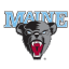 Maine Black Bears