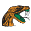 Florida A&M Rattlers