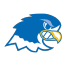 Notre Dame College (OH) Blue Falcons