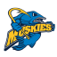 Lakeland Muskies