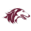 Southern Illinois Salukis