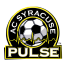 Syracuse Pulse