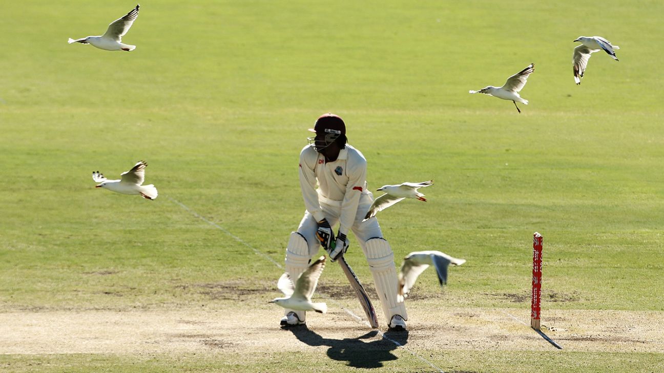 They Played Test Cricket Too ESPN co uk