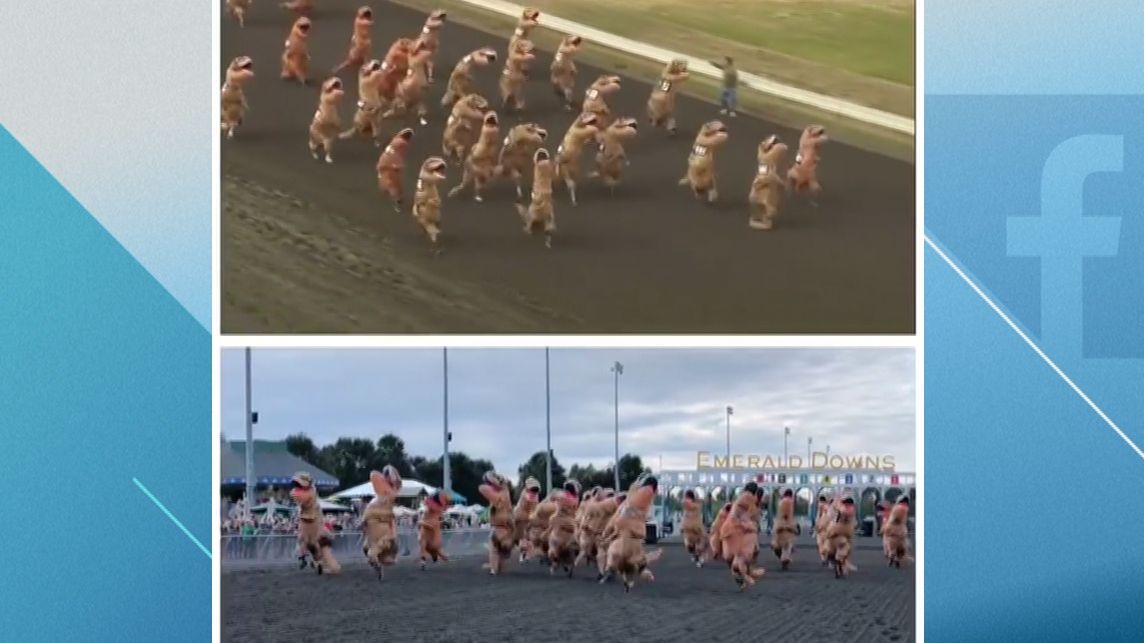 Emerald Downs hosts intense TRex race ESPN Video