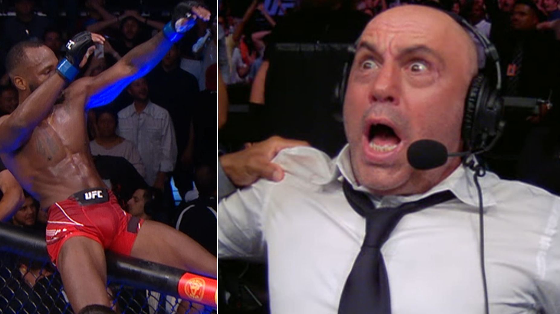 ufc 259 play by play