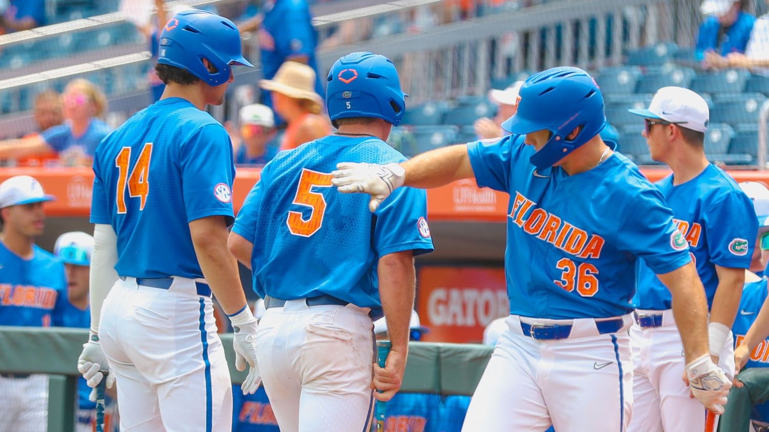 Brandon Neely - Baseball - Florida Gators