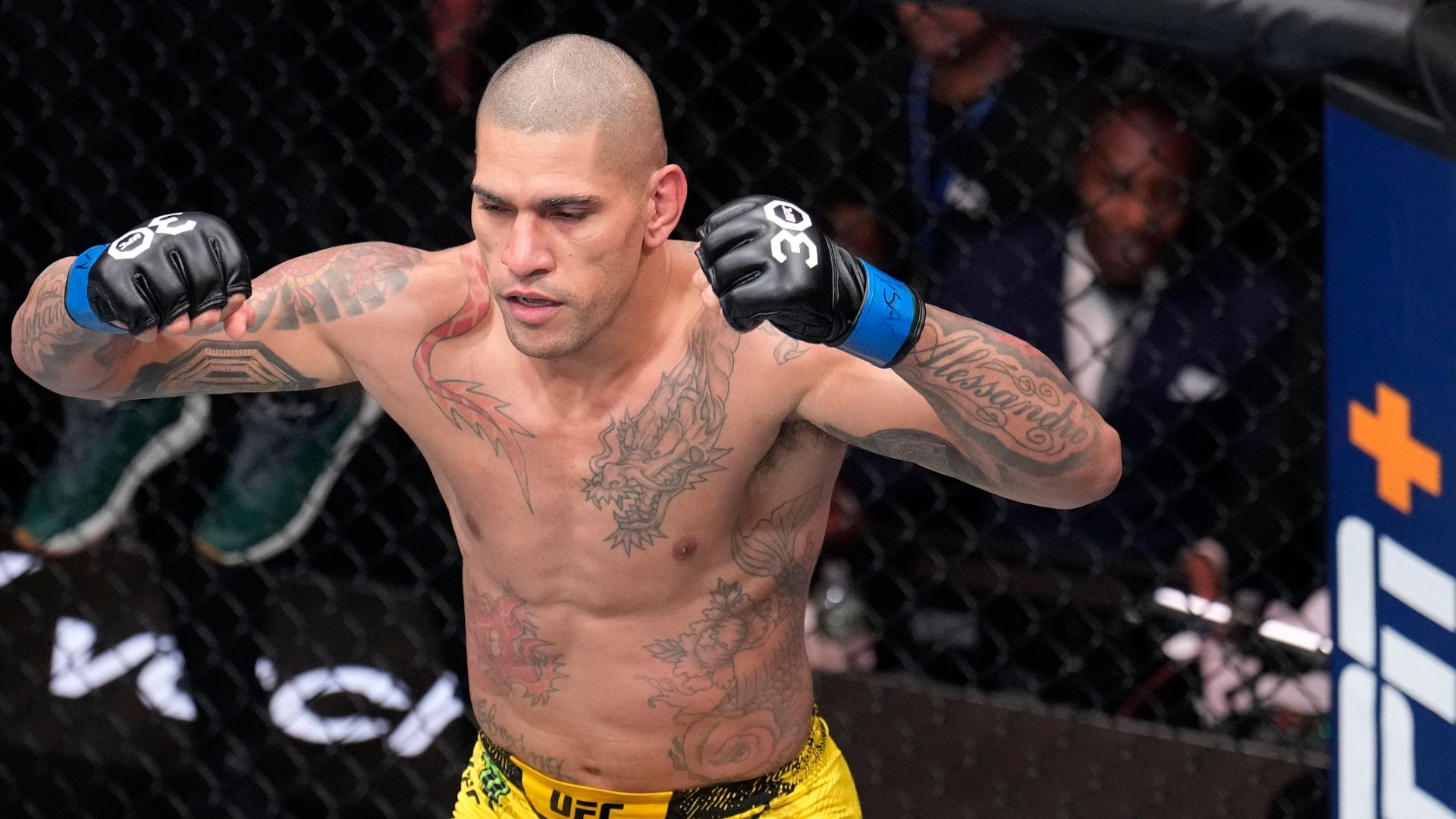 Alex Pereira shocks Jiří Procházka to win light heavyweight title ...