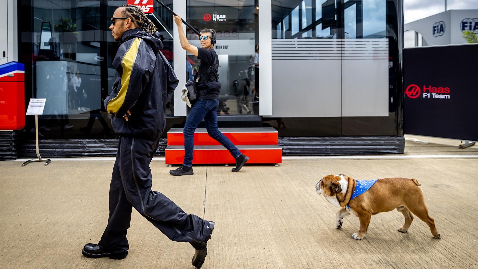 Lewis Hamilton mourns beloved dog, Roscoe: ‘My best friend’ Lewis Hamilton mourns beloved dog, Roscoe: ‘My best friend’
