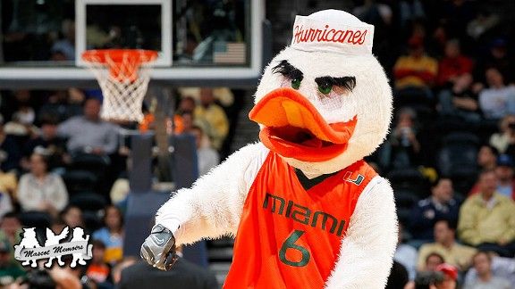 Mascot Memoirs Sebastian the Ibis University of Miami Hurricanes ...