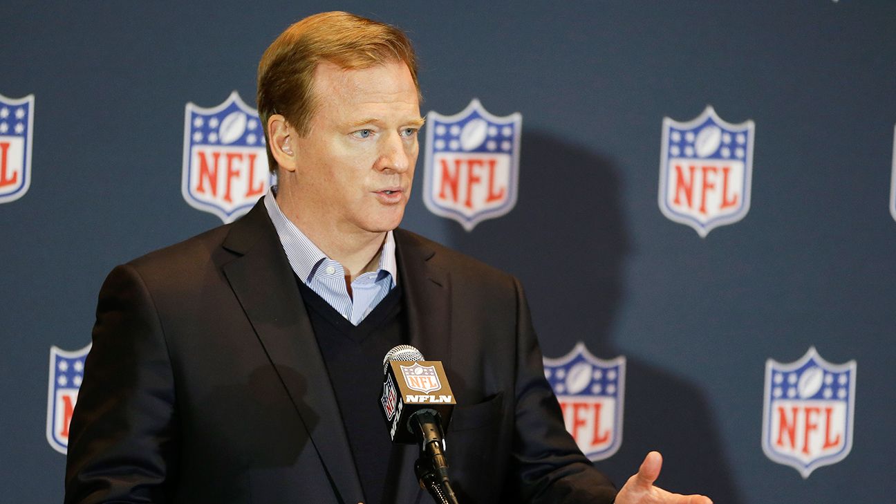 Ravens fans vent on Goodell's handling of Ray Rice investigation