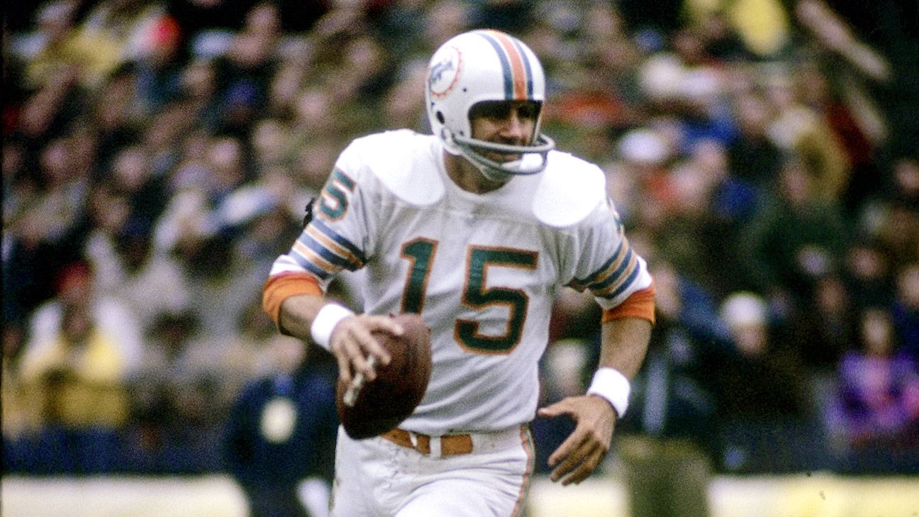 miami dolphins 1969