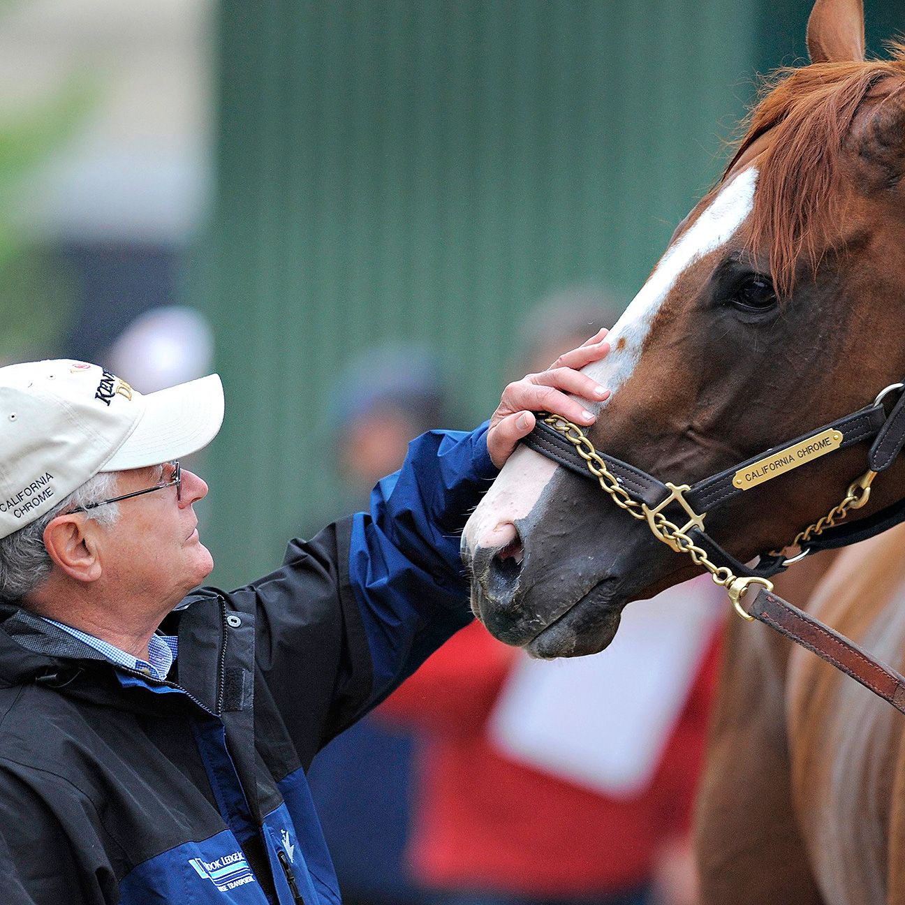 Science behind California Chrome's nasal strip - ESPN The Magazine