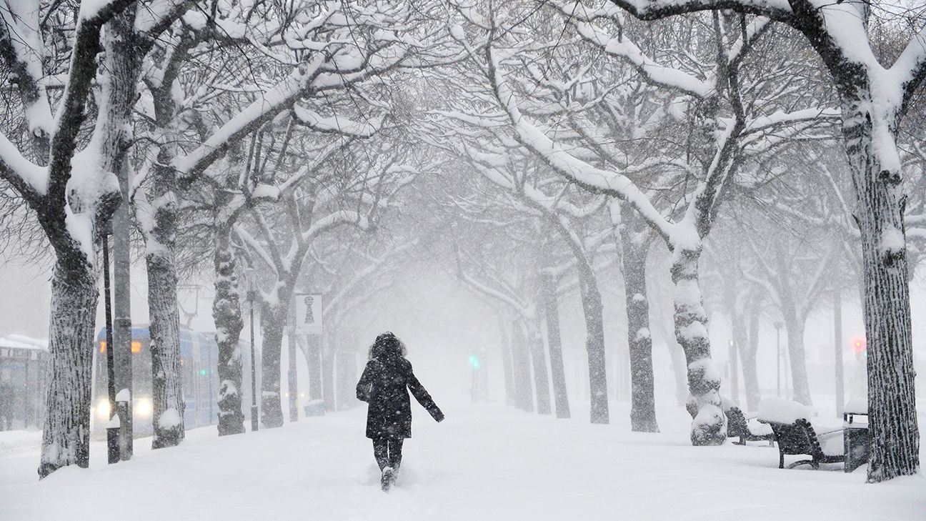 К чему снится снег белый много женщине. Уходящая зима. Уходящая зима в городе. Силуэт зимой. Зима снег идет.