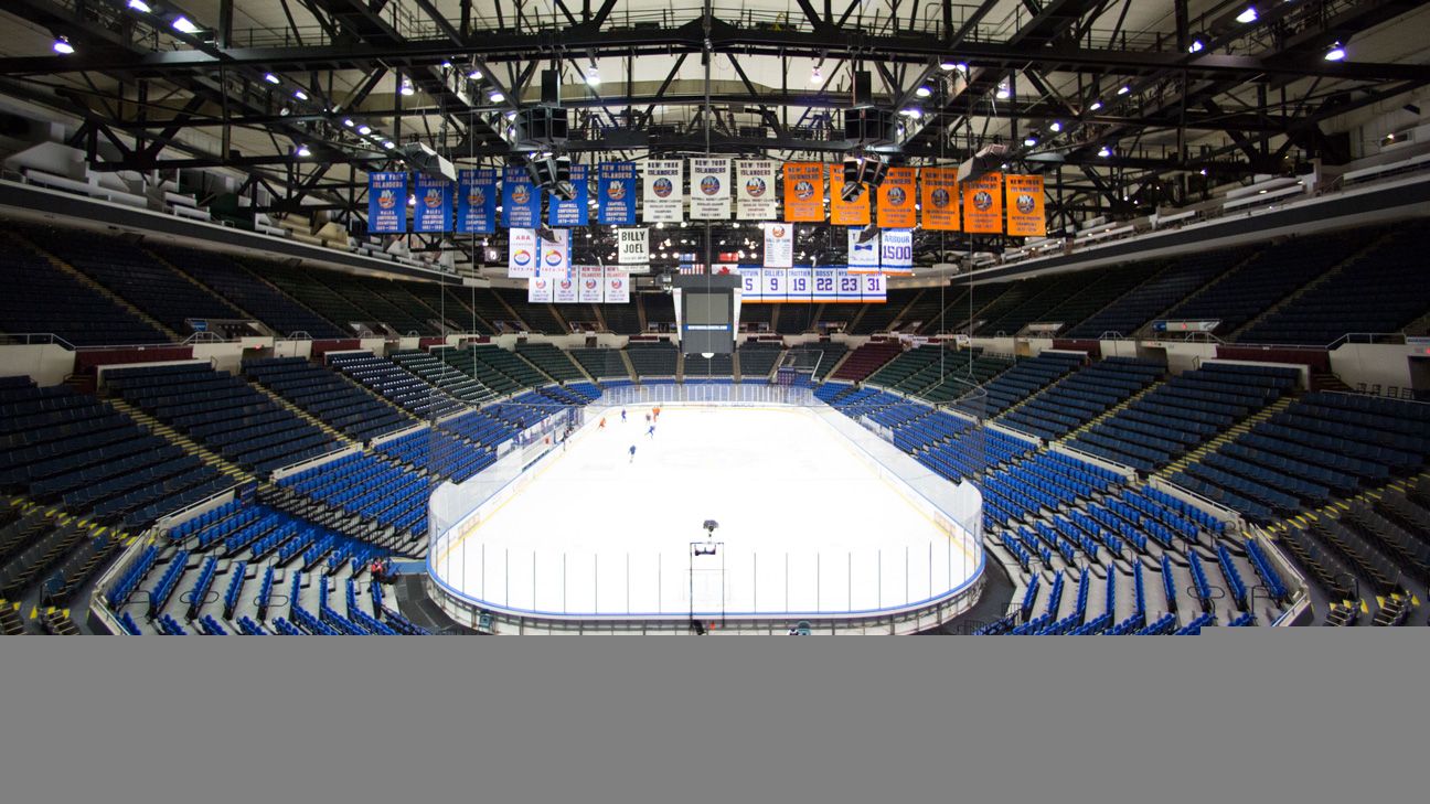 Fish Sticks : The Fall and Rise of the New York Islanders by Peter Botte &  Hahn