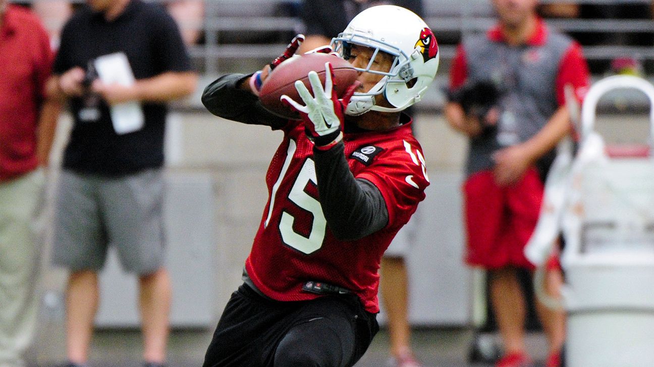 Michael Floyd of Arizona Cardinals to test injured hand - ESPN - Arizona  Cardinals Blog- ESPN