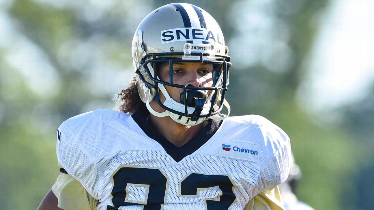 New Orleans Saints 2015 Year in Review: Willie Snead