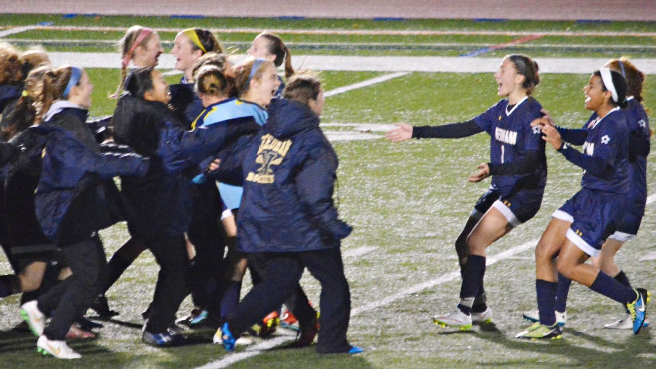 D1 South Girls Soccer: Needham 1, Bishop Feehan 0 - ESPN - Boston High ...