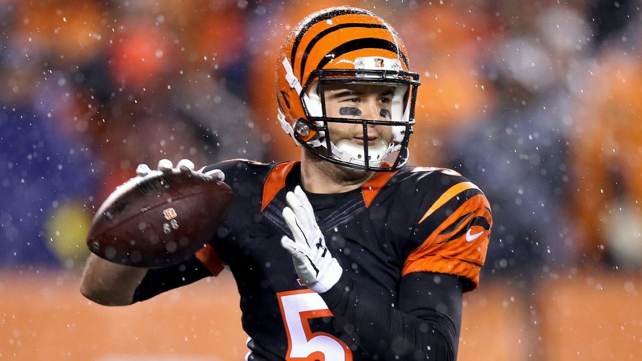 Cincinnati Bengals owner could trade QB A.J. McCarron to Cleveland