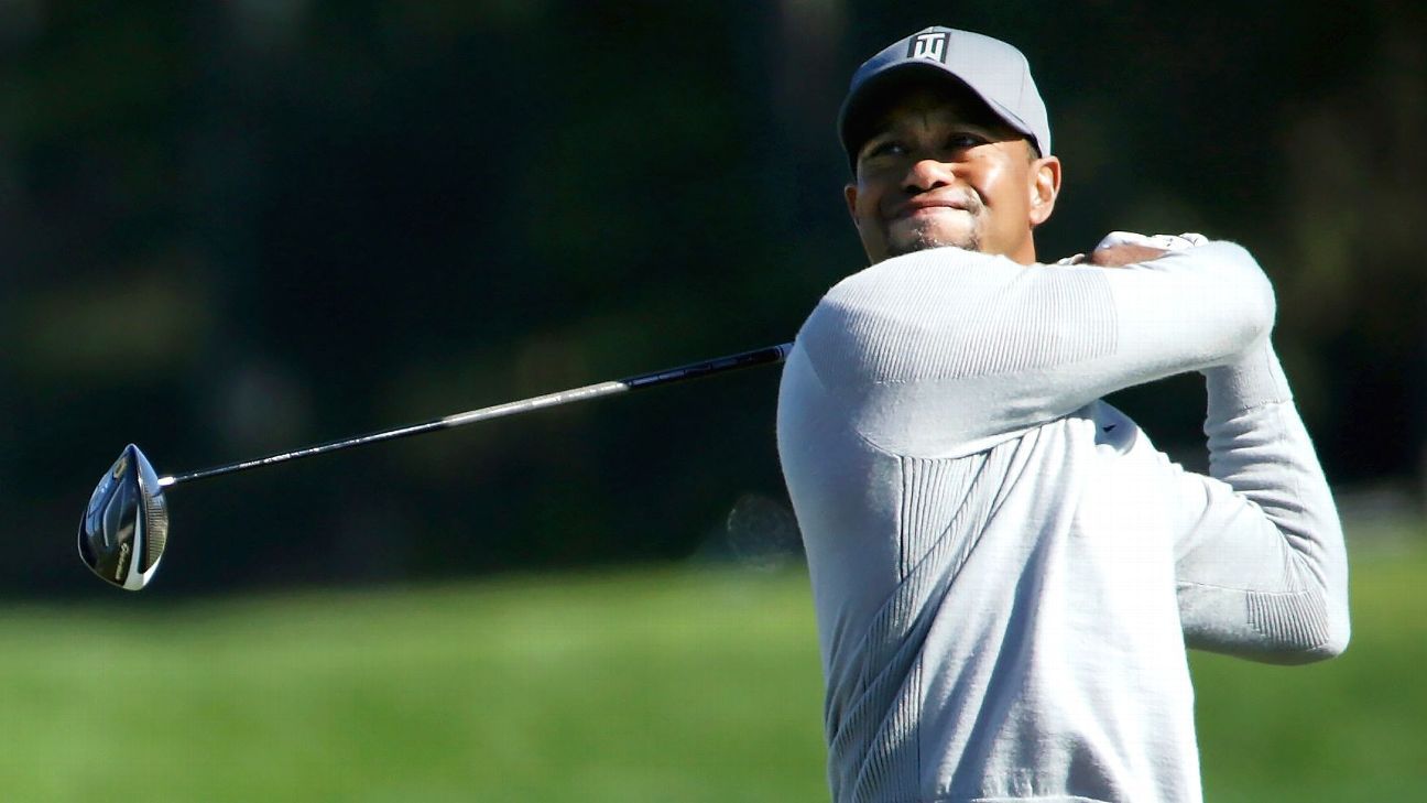 Бывшие спортсмены рекетмены. Клюшка Тайгера Вудса. Тайгер Вудс арестован. Боб Кук гольфист. Японский гольфист.