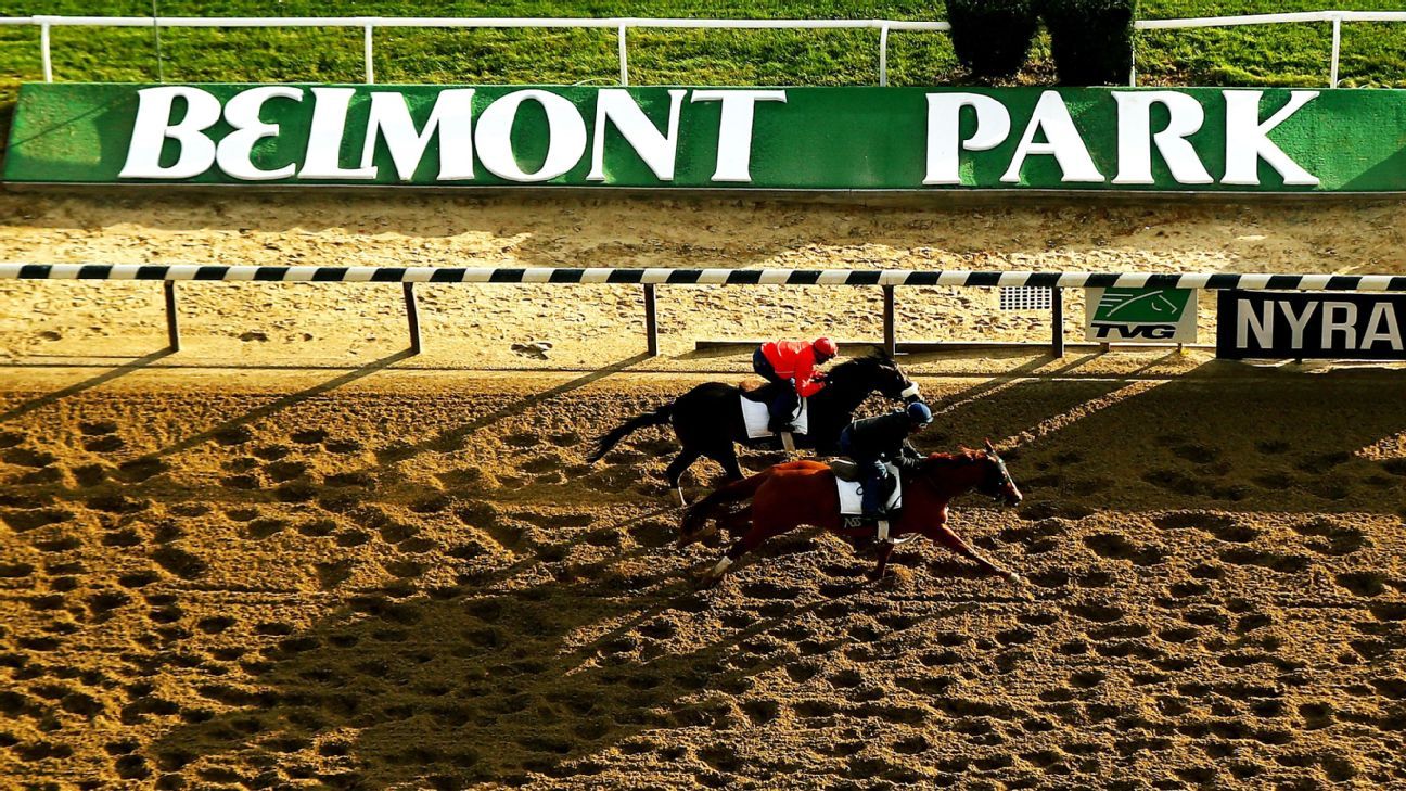 Betting on Belmont Park – WWD