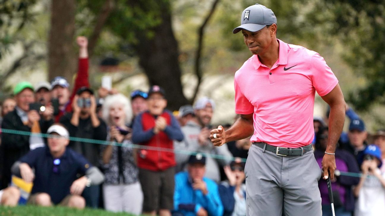 Valspar Championship Tiger Woods one behind Corey Conners entering