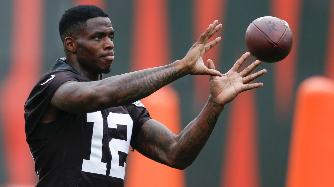 Browns Hope Josh Gordon Will Be Ready For Week 1