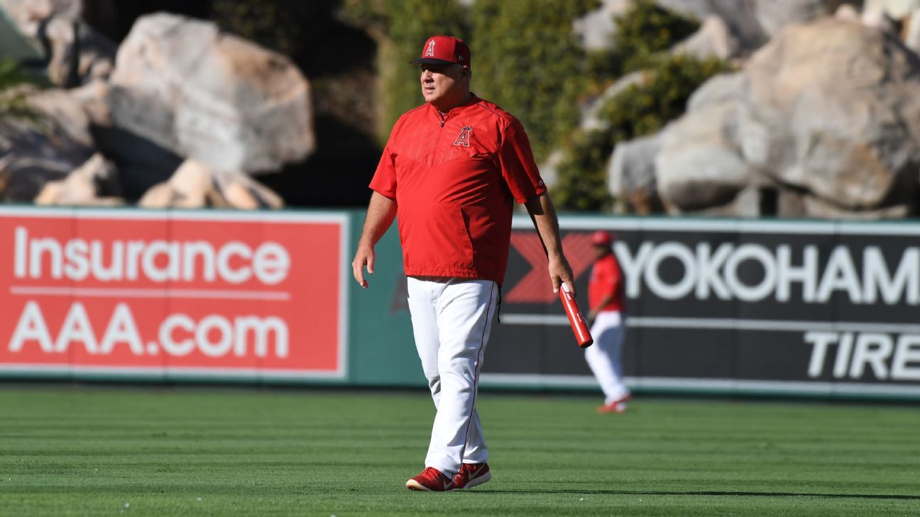 LA Angels: Former skipper Mike Scioscia to manage U.S. Olympic Team