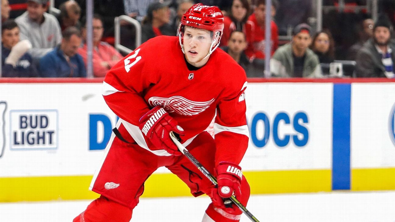 Nhl Detroit Red Wings Dennis Cholowski Put In The Work To Rise Through The Ranks