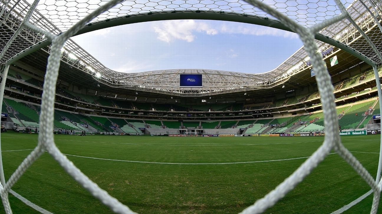 Palmeiras x Criciúma: transmissão ao vivo, horário, palpites e escalações do jogo