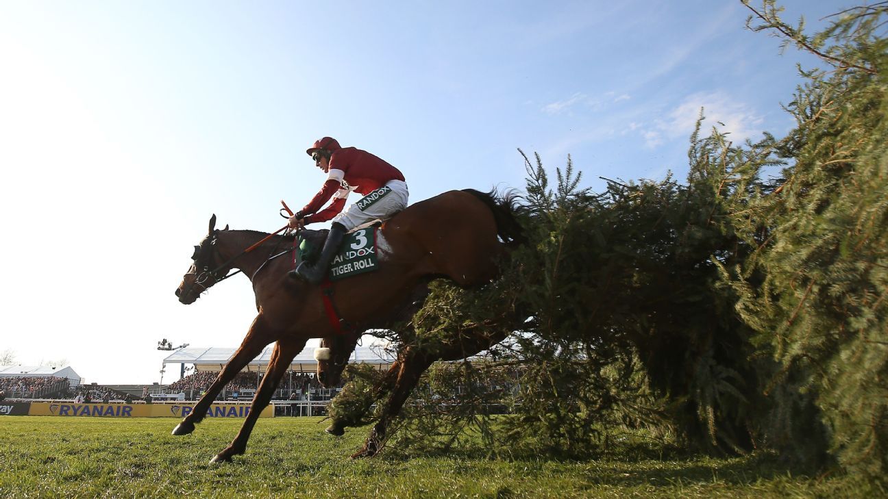 Grand National to trim field to 34, soften fences