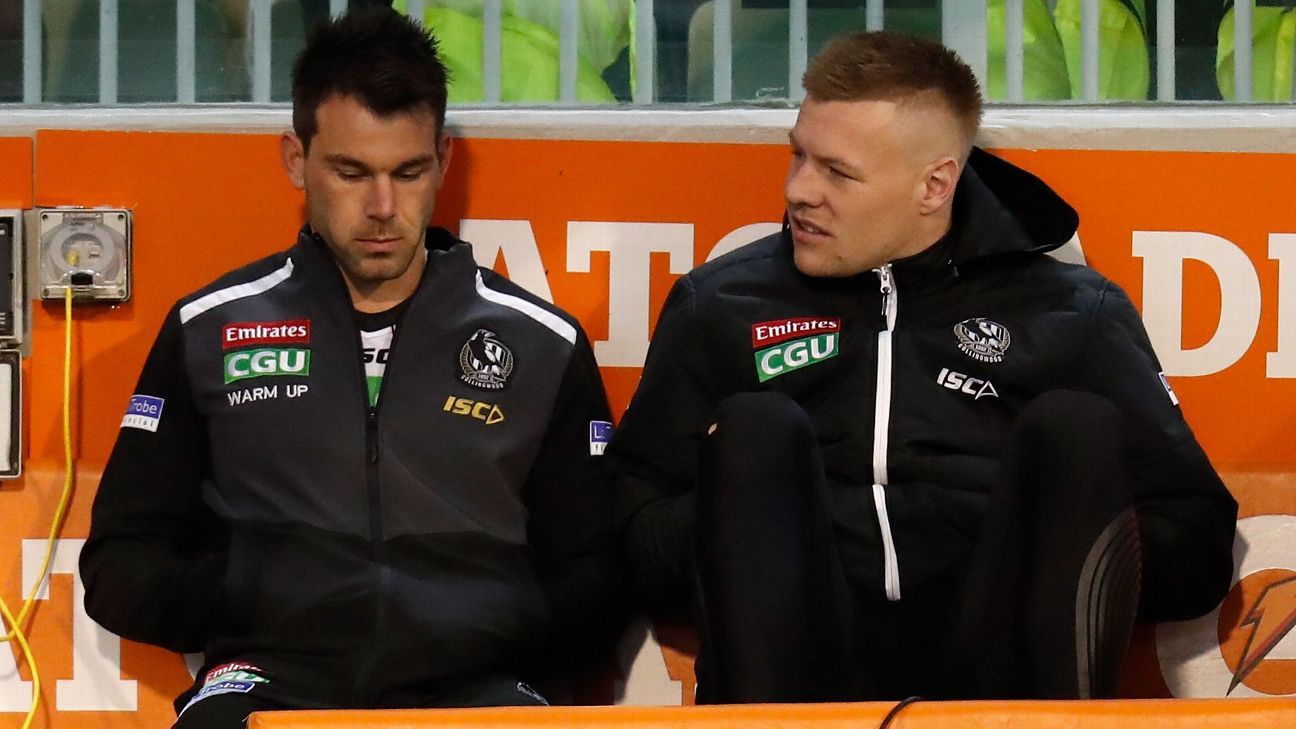 AFL Concussion behind Collingwood player Levi Greenwood AFL retirement
